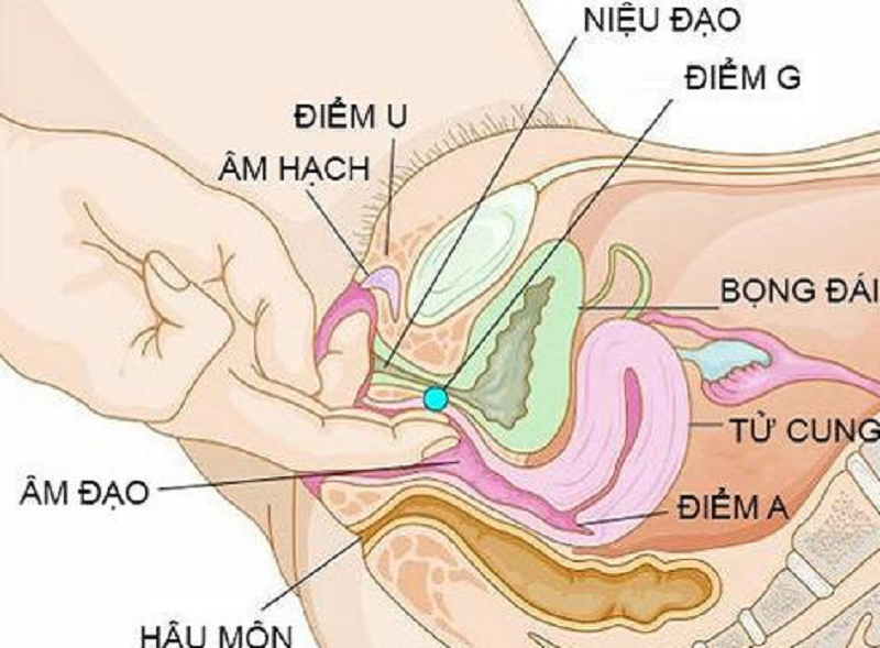 diem-g-cua-phu-nu