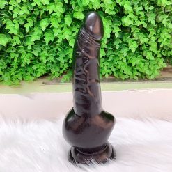 Dương Vật Giả Sói Biển, Chị Em Đê Mê